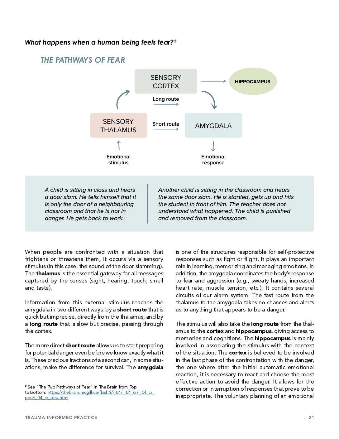 Étude scientifique sur le trauma — page 21