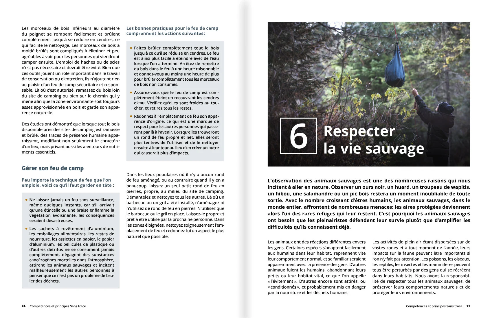 Guide pratique De ville en forêt et Sans trace Canada — pages 24 à 26