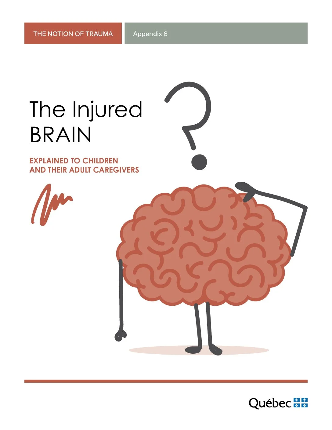 Guide pratique sur le trauma — page couverture