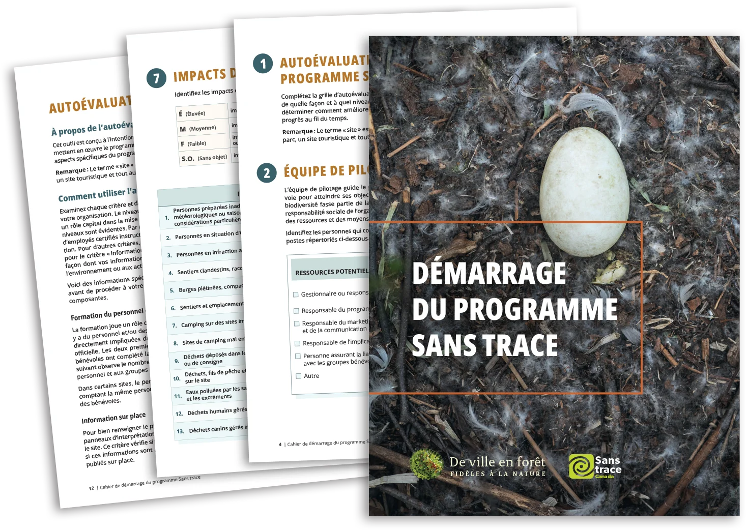 Série de guides De ville en forêt et Sans trace Canada — visuel promotionnel montrant les couvertures déclinées